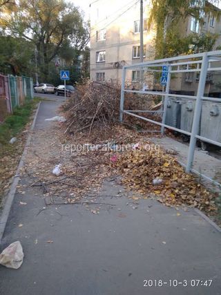 «Комтранском» в ближайшие дни уберет мусор возле дома №24 в 6 мкр