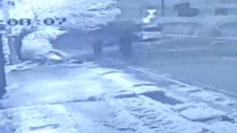 В Бишкеке парни на «Фите» воруют металл. Видео