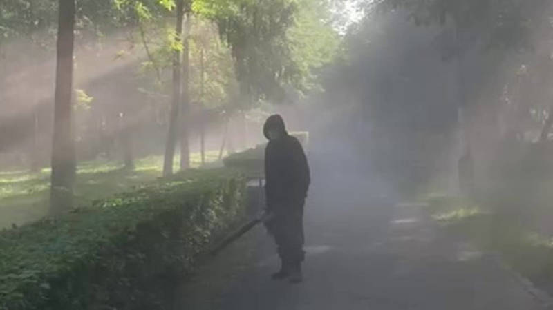 «Ежик в тумане». Василий жалуется на уборку тротуара в Ореховой роще. Видео