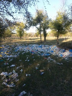 Напротив памятника блокадникам в парке «Южные ворота» кто-то организовал мусорную свалку, - читатель <i>(фото)</i>