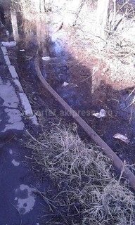 Работники «Зеленстроя» начали качать нечисть в сторону дома №170б по ул.Щербакова, - читатель (фото) Работники «Зеленстроя» начали качать нечисть в сторону дома №170б по ул.Щербакова, - читатель (фото)