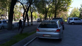 По улице Байтик Баатыра в течение недели будет произведена работа по глубокой обрезке деревьев, - «Зеленстрой»
