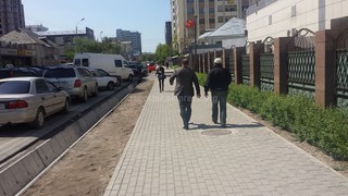 Озеленят ли отрезок ул.Токтогула, где были спилены деревья при ремонте автодороги? - читатель (фото)