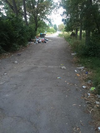 Аллея в парке Ататюрк завалена мусором, - горожанин <i>(фото) </i>