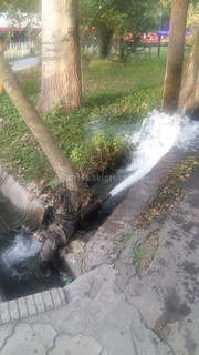В парке им.Панфилова из трубы в арык бьет вода, - горожанин <i>(фото)</i>