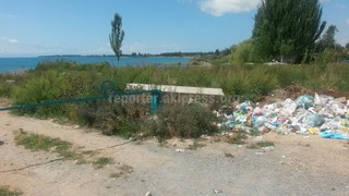 Возле пляжа пансионатов «Миф» и «Лукоморье» скопилось много мусора <i>(фото)</i>