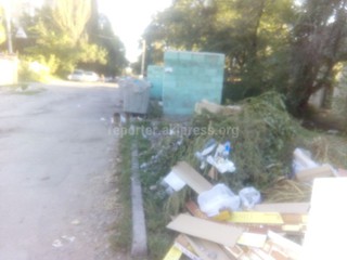 На тротуаре улицы Тыныстанова городские службы установили мусорные контейнера (фото)