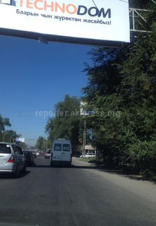 На перекрестке Лермонтова-Жибек жолу ветки дерева закрыли светофор и щит с указателем дорог, - читатель (фото)