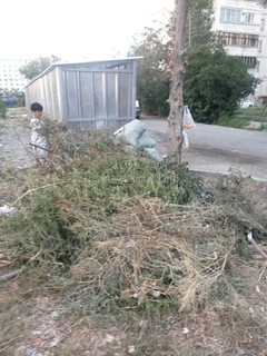 Читатель просит убрать подальше от детской площадки мусорные баки в мкр Улан (фото)