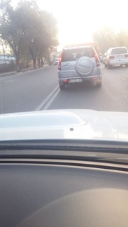 Законно ли установлен «лежачий полицейский» на участке ул.Л.Толстого? - читатель (фото)