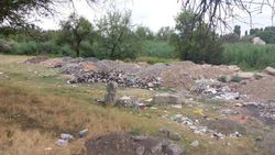 Участок объездной дороги недалеко от села Фрунзе замусорен (фото)