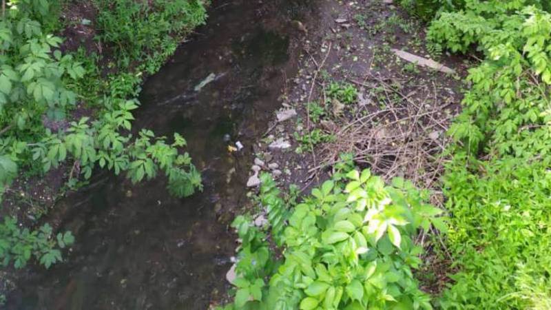 Почему в арыке в Нижней Ала-Арче течет кроваво-красная вода? - ответ Госветсанинспекции