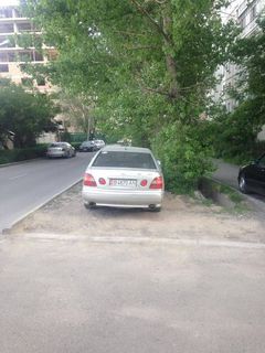 Парковка на газоне