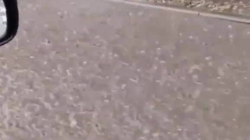 В Бишкеке из-за дождя затопило одну из улиц. Видео очевидца