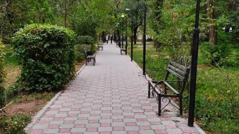 В парке на Айни-Чапаева сломали скамейки. Фото