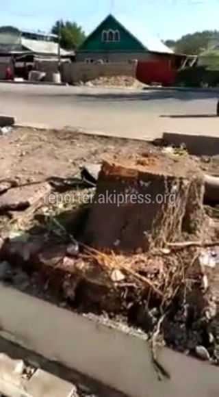 Брусчатка на тротуарах ул.Тоголок Молдо укладывается в соответствии со строительными нормами, - мэрия