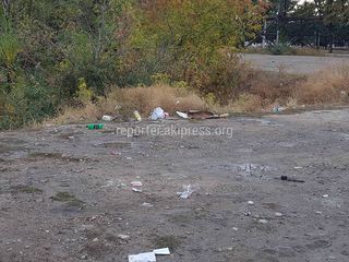 В акватории обводного канала ТЭЦ сотрудники «Тазалыка» провели уборку