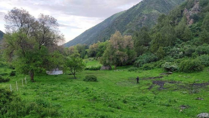 Красота природы Иссык-Аты в объективе горожанина. Фото
