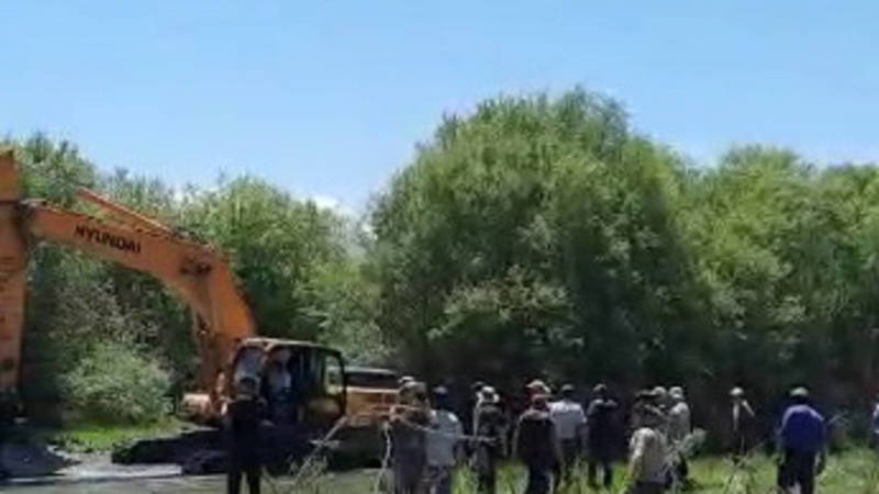 В Кочкорском районе уничтожают лес, чтобы сделать пруд? Видео