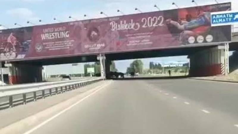 На трассе в аэропорт лошади прячутся от жары под мостом, заблокировав дорогу. Видео