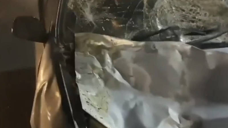 В Оше «Тойота» сбила осла. Видео с места происшествия