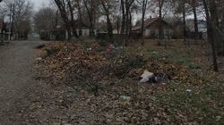 Свалка мусора на Фестивальной. Фото