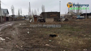 Во время субботника, жители и квартальный комитет почистили от мусора участок для парка в жилом массиве Ала-Тоо