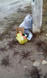 В жилмассиве Арча-Бешик не вывозится мусор, - жители (фото)