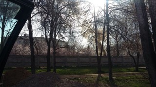 Руководство 3-детской больницы рассказало, почему сжигало листья деревьев на территории учреждения