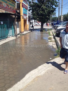 Читатель просит решить проблему с ирригацией на проспекте Жибек Жолу (фото)