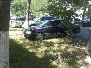 Горожанин возмущен тем, что по ул.Раззакова №134 автомобили припаркованы на газоне (фото) Горожанин возмущен тем, что по ул.Раззакова №134 автомобили припаркованы на газоне (фото)