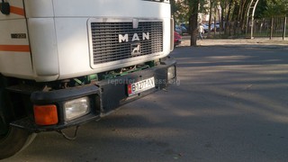 На перекрестке Токтогула-Уметалиева спилили здоровое дерево, - читатель (фото)