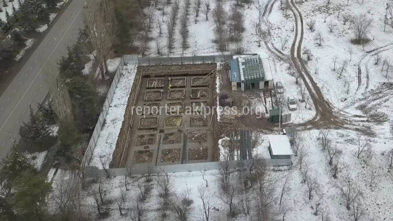 «Бишкекглавархитектура» не выдавала разрешение на строительство многоэтажного дома в парковой зоне на ул.Токомбаева