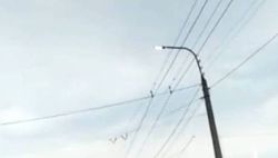 Из-за ремонтно-восстановительных работ на ул.Тыналиева днем не отключали наружное освещение, - мэрия