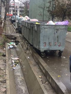 Житель мкр Восток-5 просит вывозить мусор вовремя (фото)