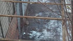 Мэрия прокомментировала сообщение горожанина о туалете на Кулиева-Пушкина