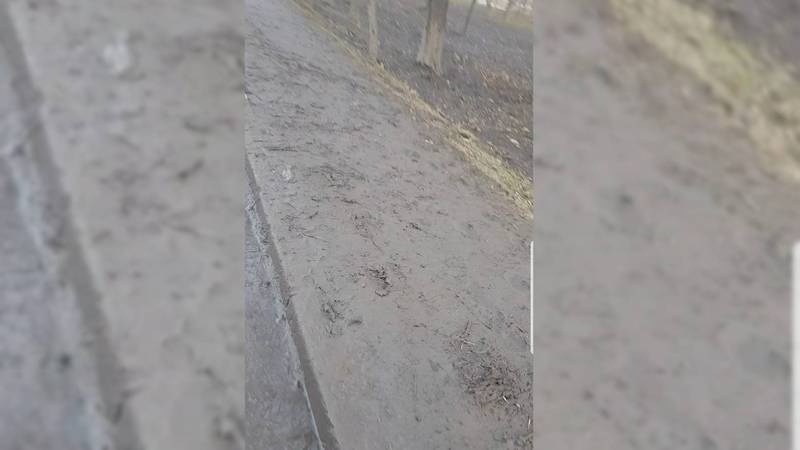 Бишкекчанин просит нанести разметку пешеходного перехода возле остановки на пр.Дэн Сяопина