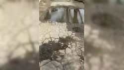 В планах «Бишкекасфальтсервиса» нет ремонта тротуара на проспекте Жибек Жолу