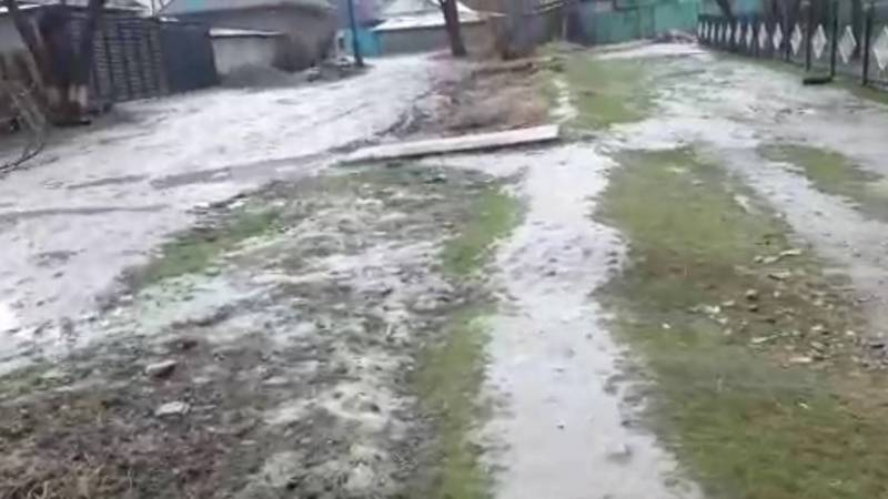 Житель села Беловодское жалуется на антисанитарное состояние территории вокруг школы. Видео