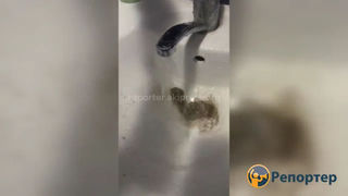 Грязная вода поступала в дома города Кант в связи с чисткой скважин, - «Водоканал»