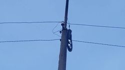 Бишкекчанка просит починить фонарь около кинотеатра «Манас». Фото Бишкекчанка просит починить фонарь около кинотеатра «Манас». Фото