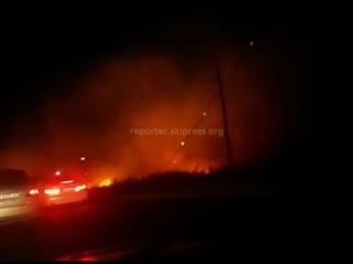 Возле ресторана «Ала-Тоо», предположительно из-за неправильного использования фейерверков, сгорело 2 га сухотравия <b><i>(видео)</i></b>