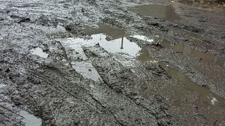 Жители улицы Мичурина просят обратить внимание на состояние дороги и засыпать гравием <b><i>(фото)</i></b>