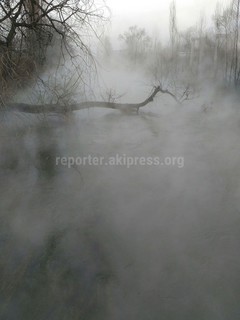 Горожанин интересуется, почему канал вдоль проспекта Чуй испаряется (фото)