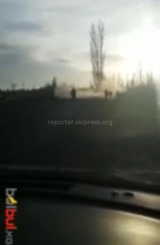 Для расширения участка трассы Балыкчы—Каракол вырубают тополя вдоль дороги <i>(видео)</i> Для расширения участка трассы Балыкчы—Каракол вырубают тополя вдоль дороги <i>(видео)</i>