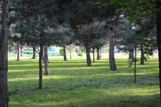 Читатель поделился фотографиями весенней природы в парке на Южных воротах