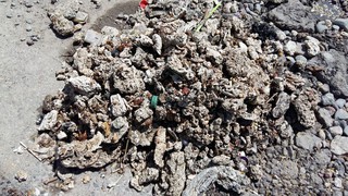 Колбасный цех «Божан» засоряет городскую канализацию, - читатель <i>(фото)</i>