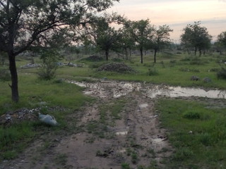 За 12 мкр по дороге в сторону гор устроили стихийную свалку, - читатель <i>(фото)</i>