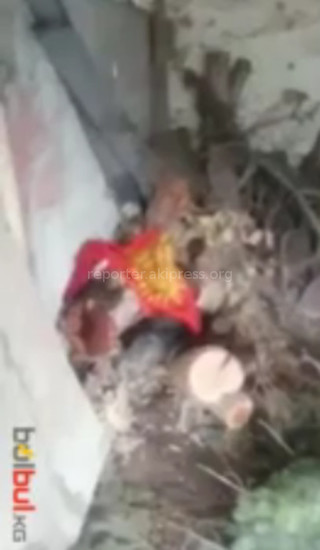 Госфлаг находится на флагштоке, установленном на территории полка спецохраны милиции Бишкека, - ГУГССО МВД КР