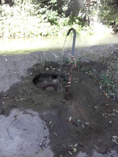 Читатель из Оша в очередной на расточительство в использовании воды на ул.Ленина №281 (фото)